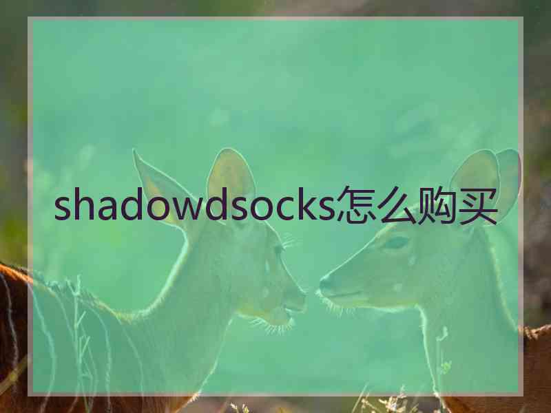 shadowdsocks怎么购买