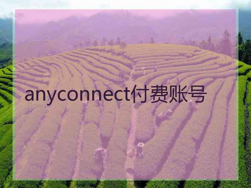 anyconnect付费账号