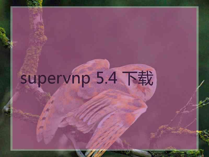 supervnp 5.4 下载