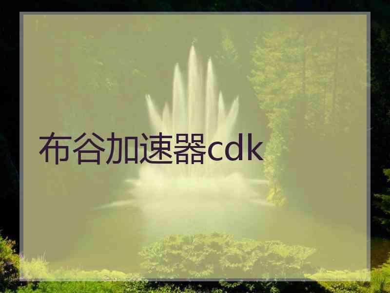 布谷加速器cdk