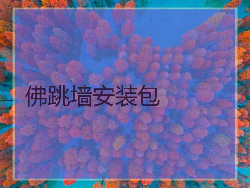 佛跳墙安装包