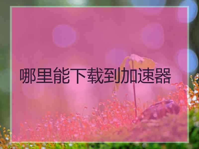 哪里能下载到加速器