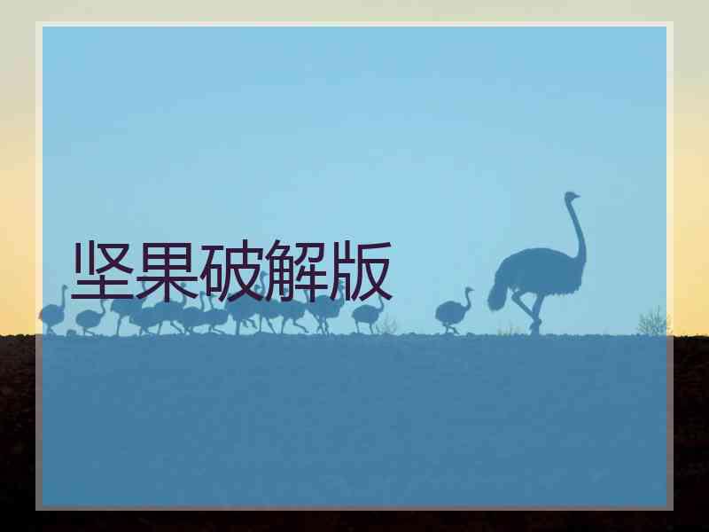 坚果破解版