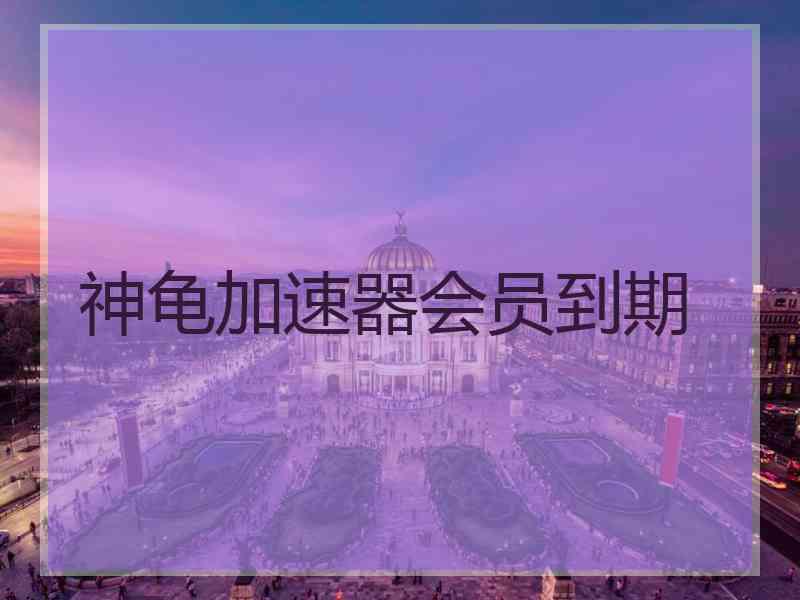 神龟加速器会员到期