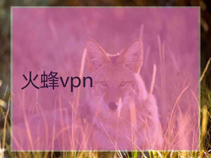 火蜂vpn