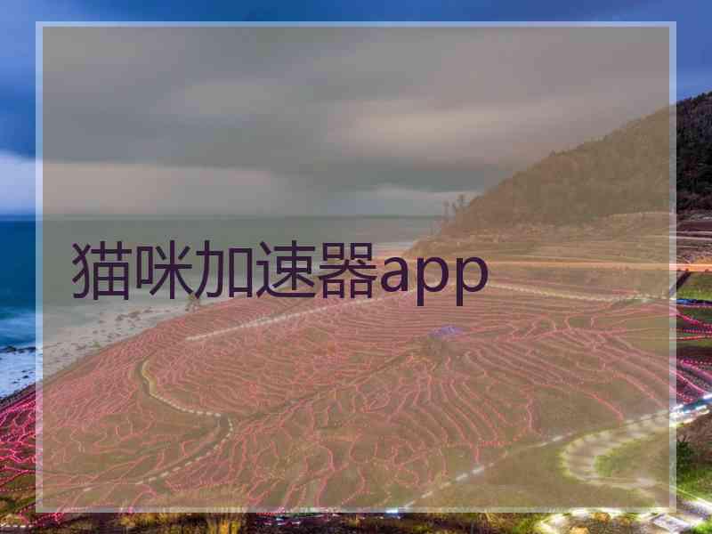 猫咪加速器app