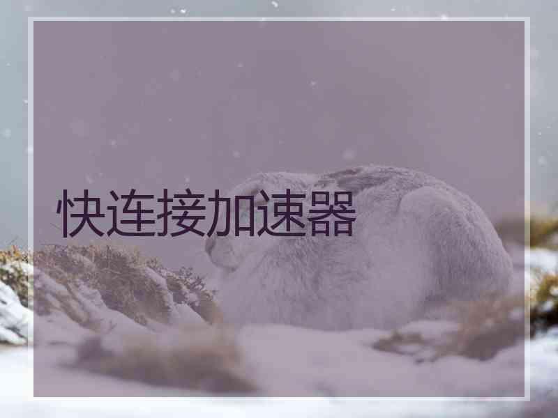 快连接加速器