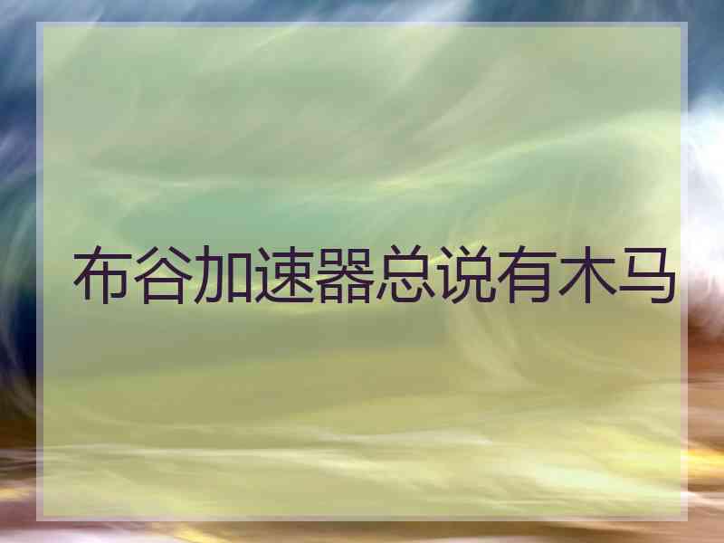 布谷加速器总说有木马