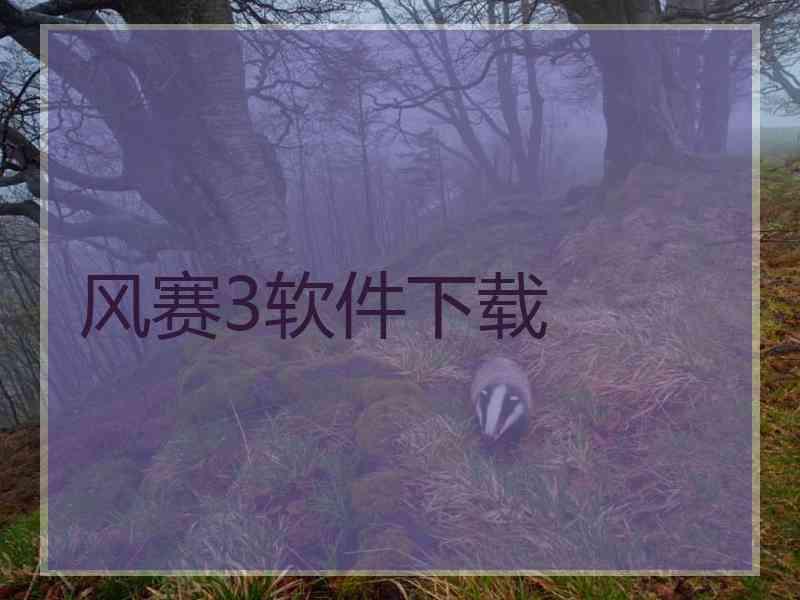 风赛3软件下载