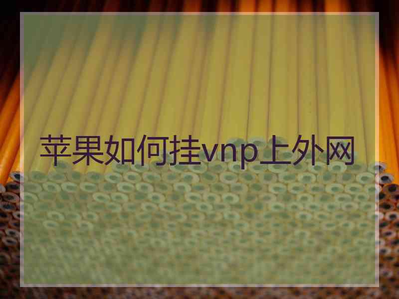 苹果如何挂vnp上外网