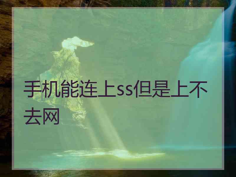 手机能连上ss但是上不去网