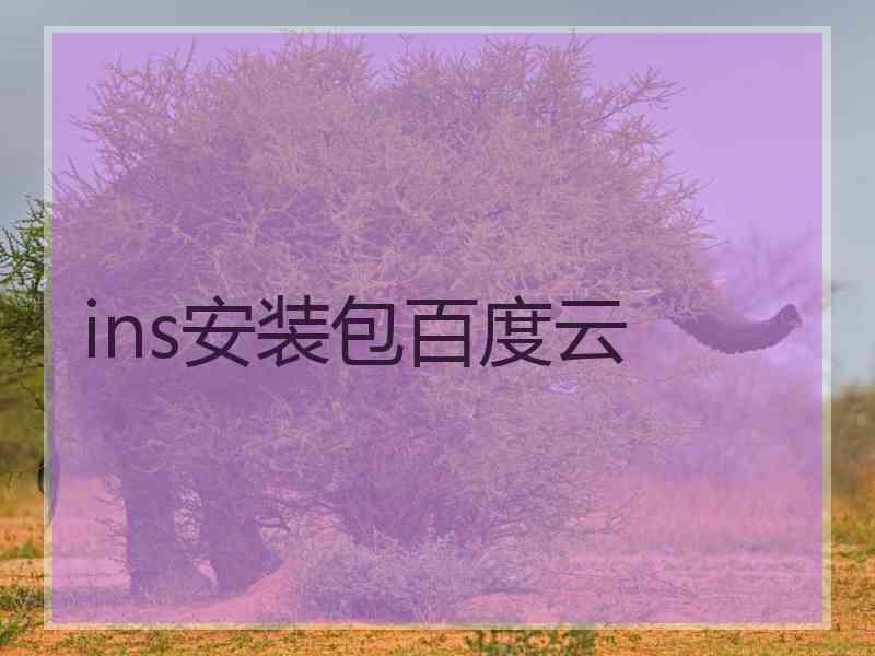 ins安装包百度云