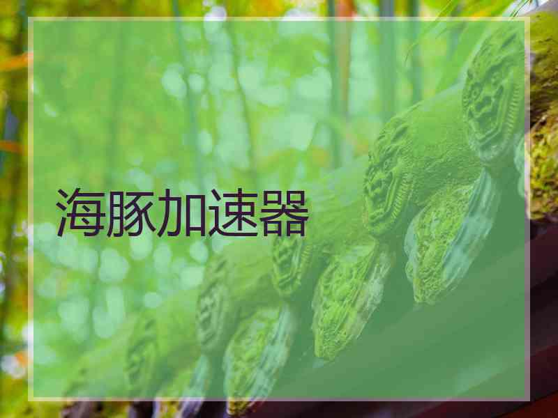 海豚加速器