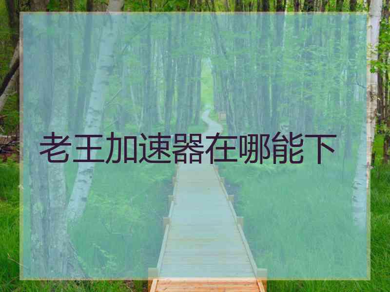 老王加速器在哪能下