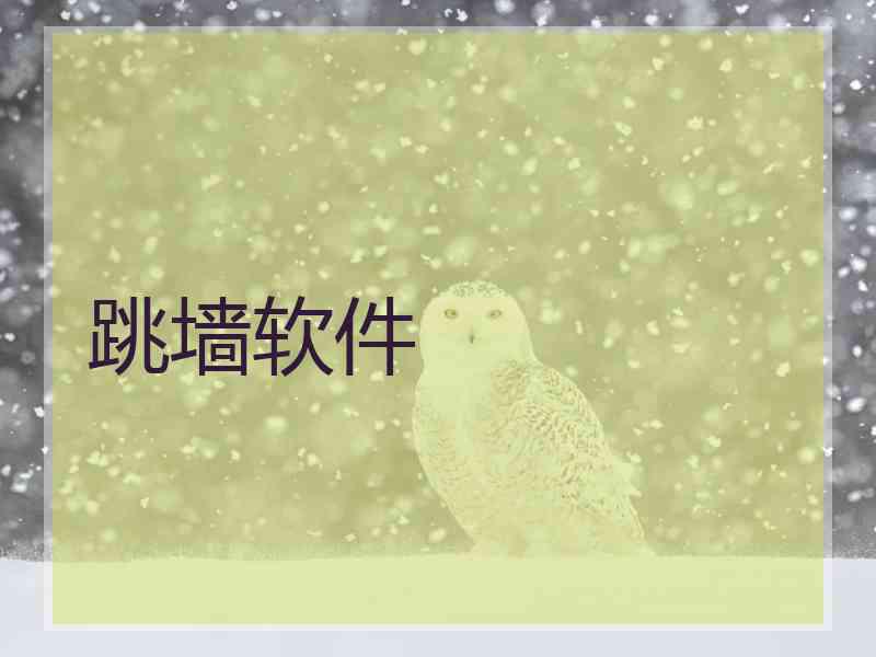 跳墙软件