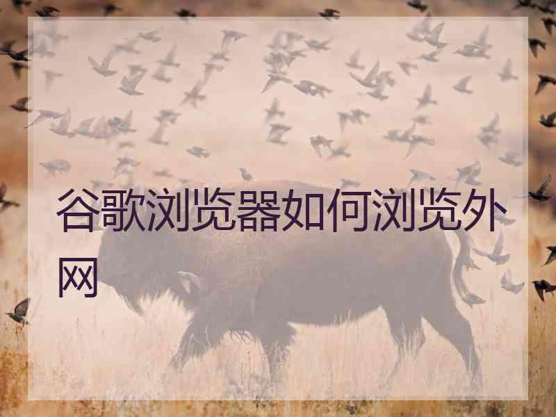 谷歌浏览器如何浏览外网