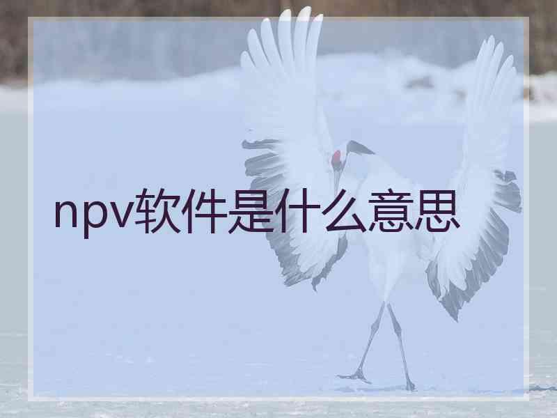 npv软件是什么意思