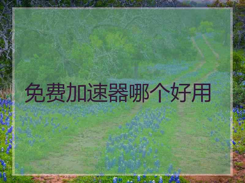 免费加速器哪个好用