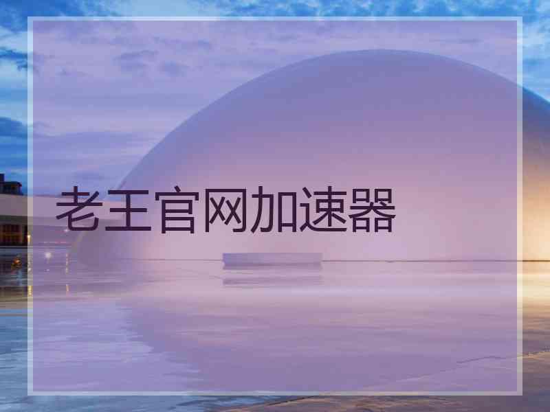 老王官网加速器