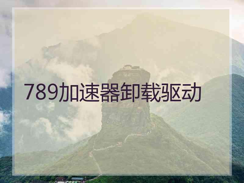 789加速器卸载驱动