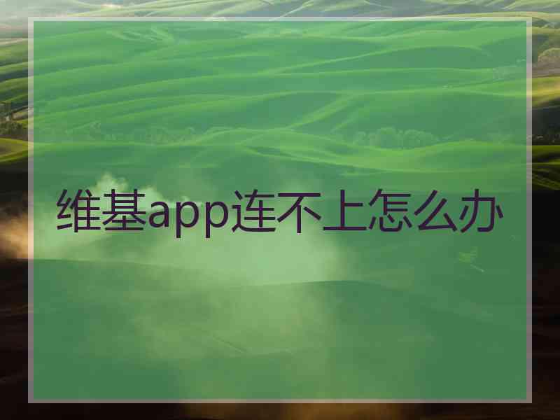 维基app连不上怎么办