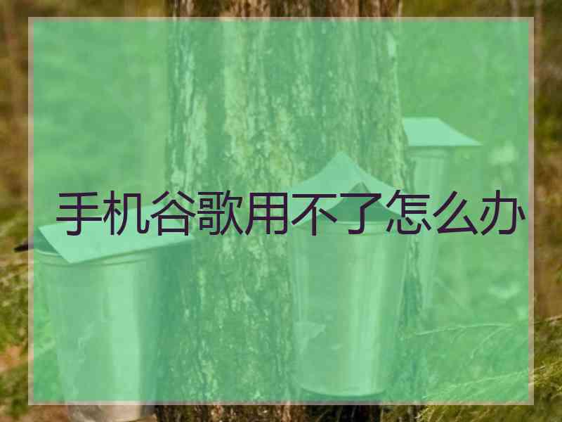 手机谷歌用不了怎么办
