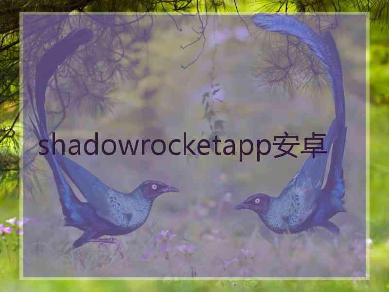 shadowrocketapp安卓