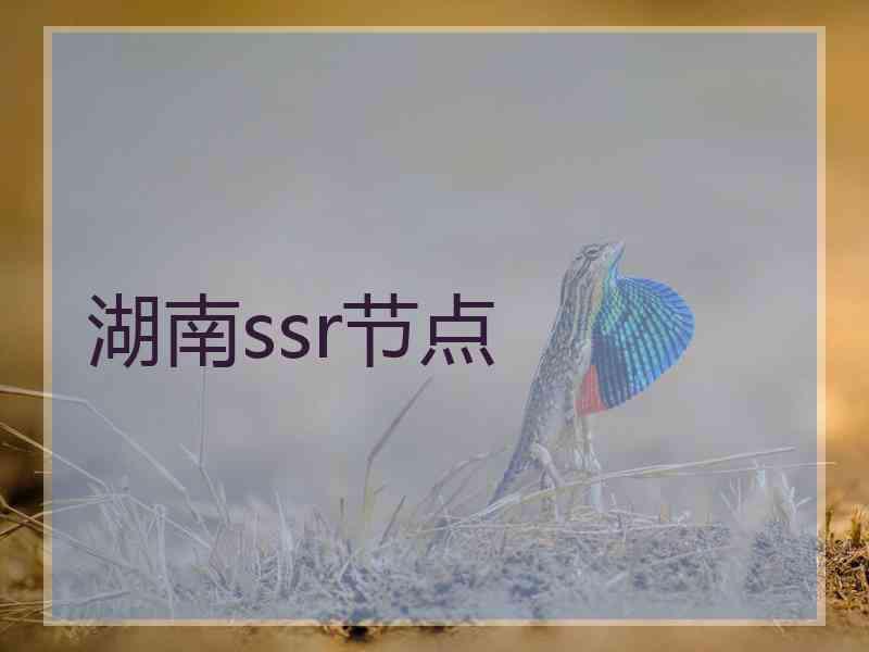 湖南ssr节点