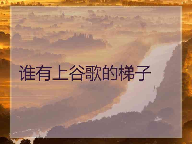 谁有上谷歌的梯子