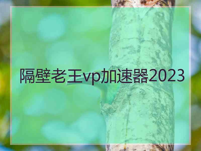隔壁老王vp加速器2023