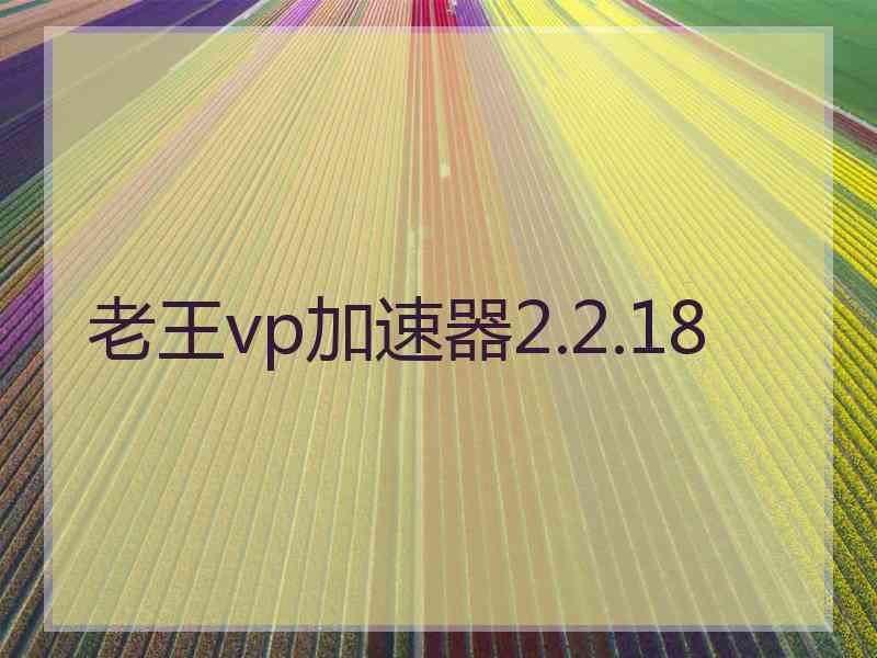 老王vp加速器2.2.18