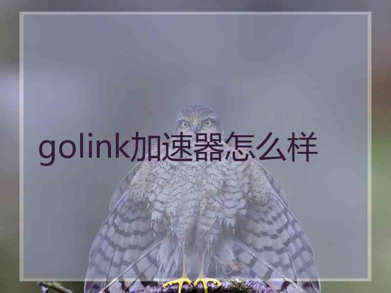 golink加速器怎么样