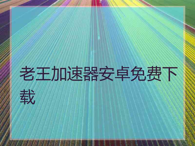 老王加速器安卓免费下载