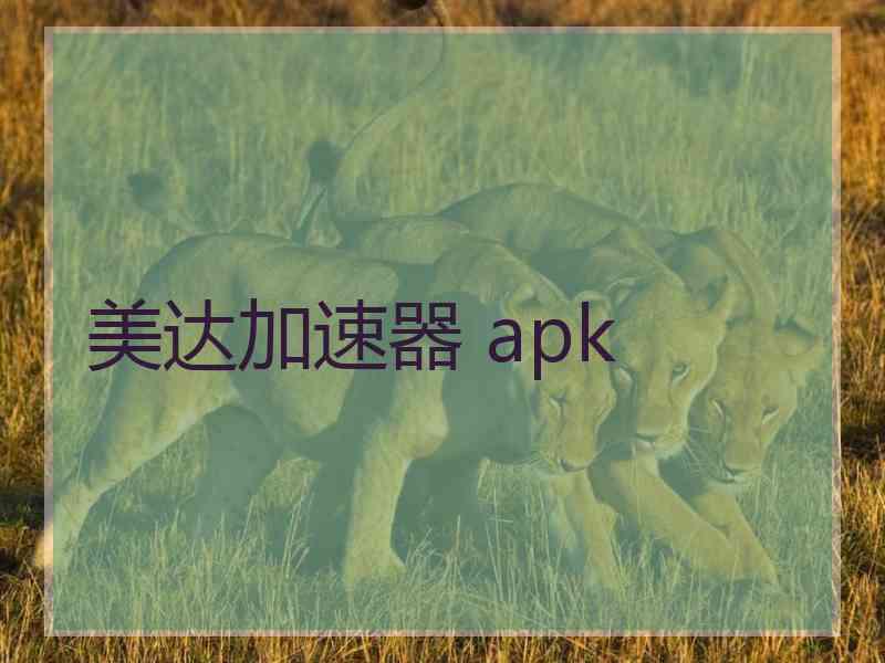 美达加速器 apk