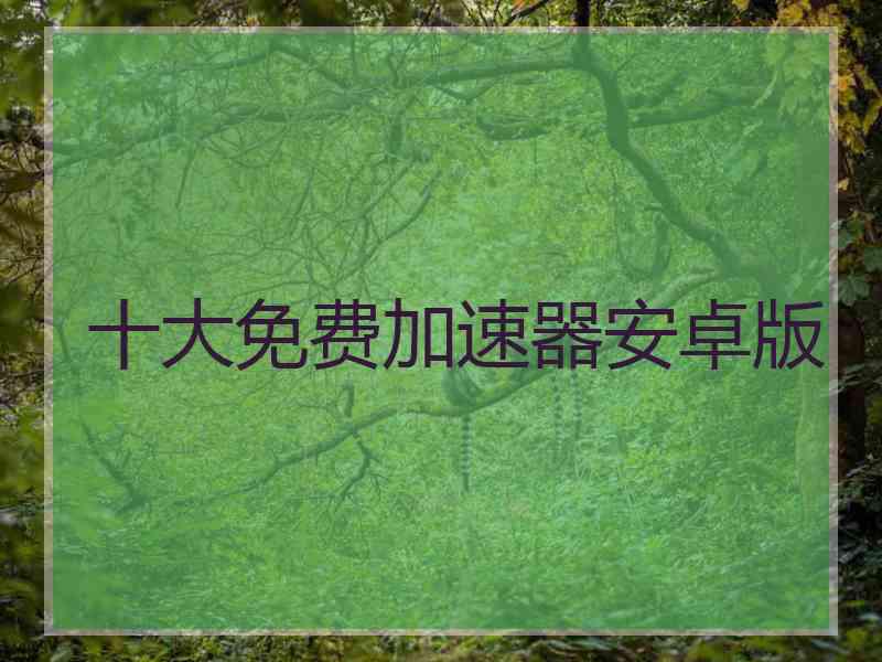 十大免费加速器安卓版
