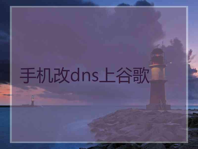 手机改dns上谷歌