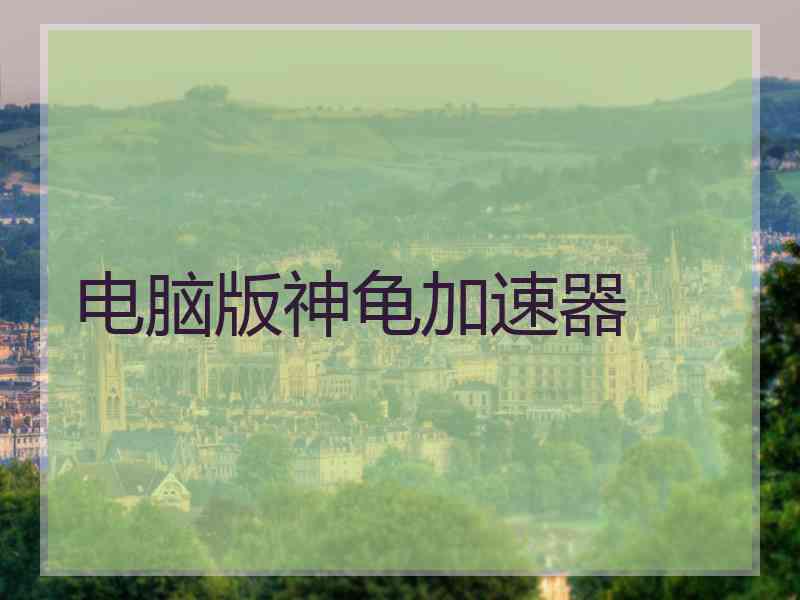电脑版神龟加速器