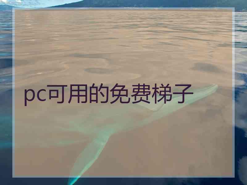 pc可用的免费梯子