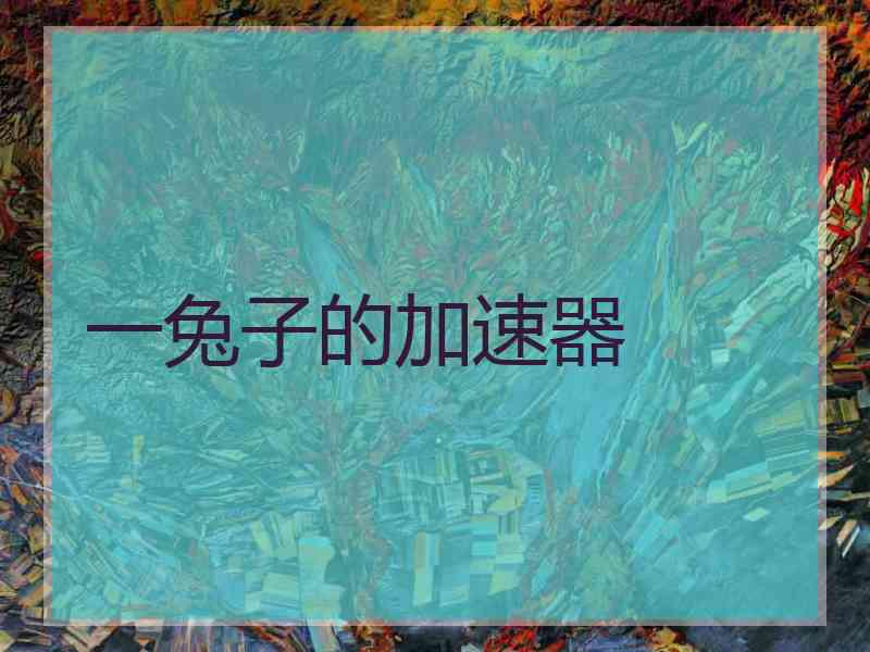 一兔子的加速器