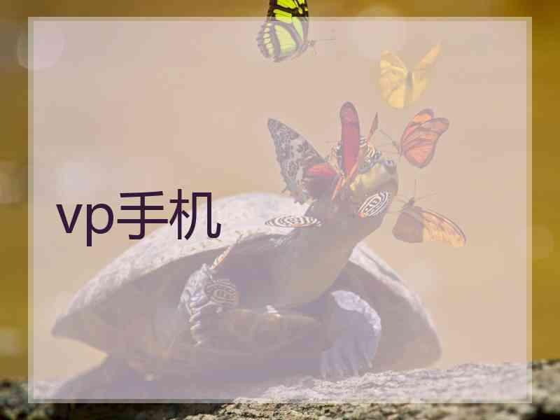 vp手机