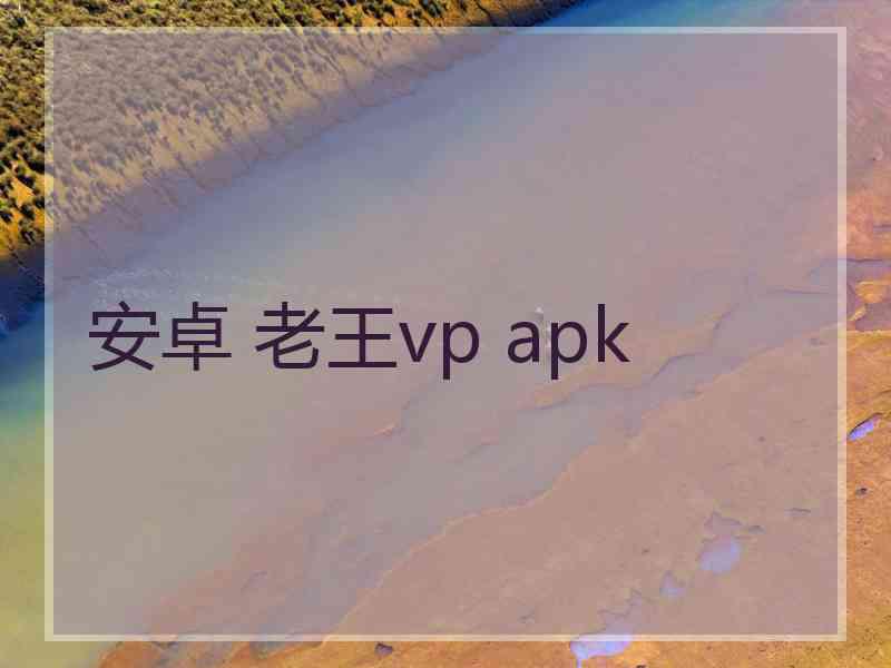 安卓 老王vp apk