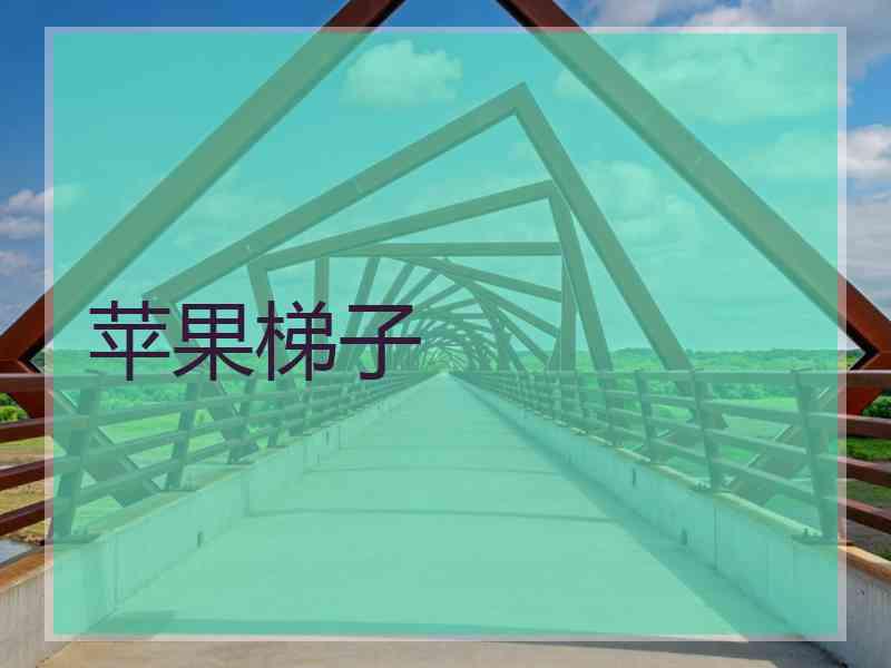 苹果梯子