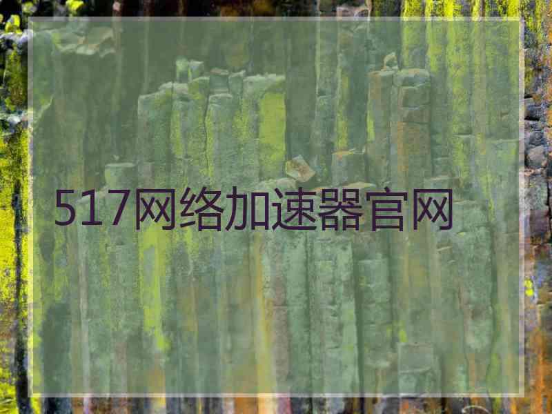 517网络加速器官网