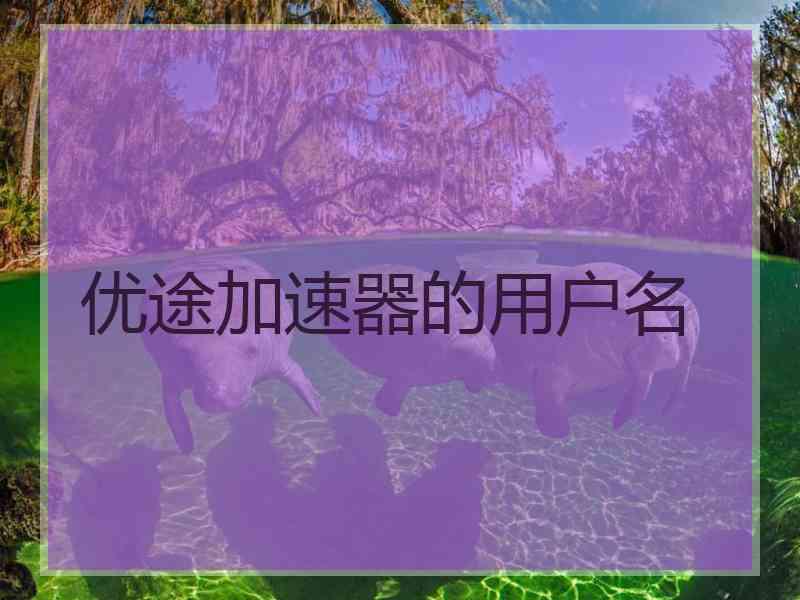 优途加速器的用户名