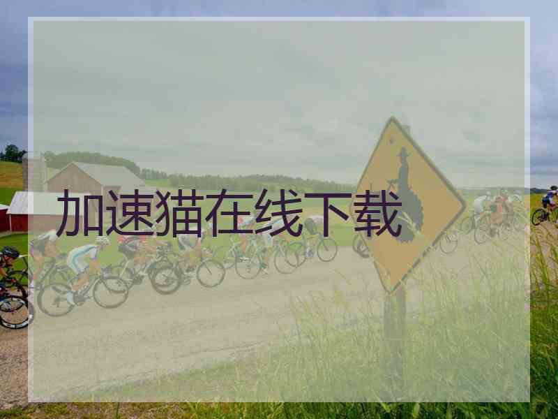 加速猫在线下载