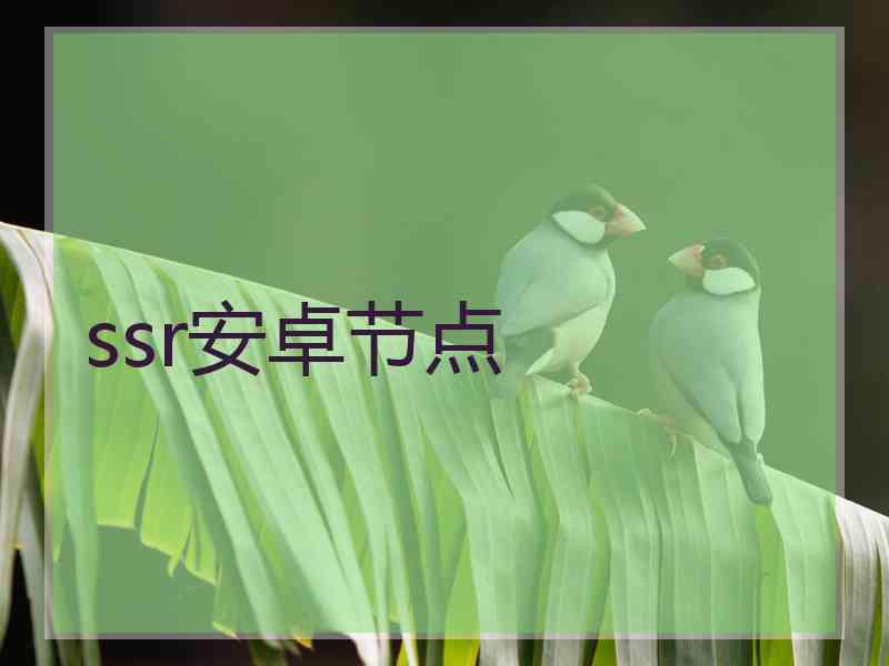 ssr安卓节点
