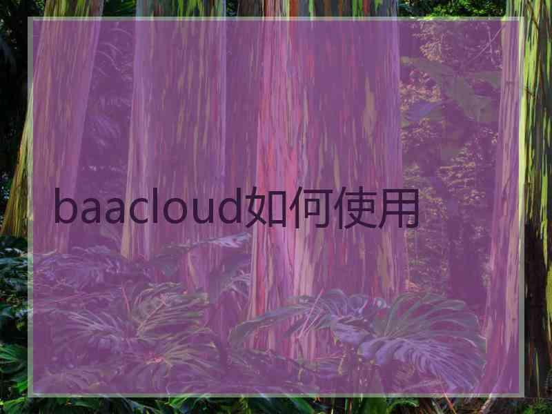 baacloud如何使用