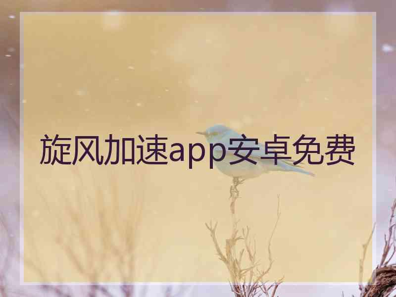 旋风加速app安卓免费