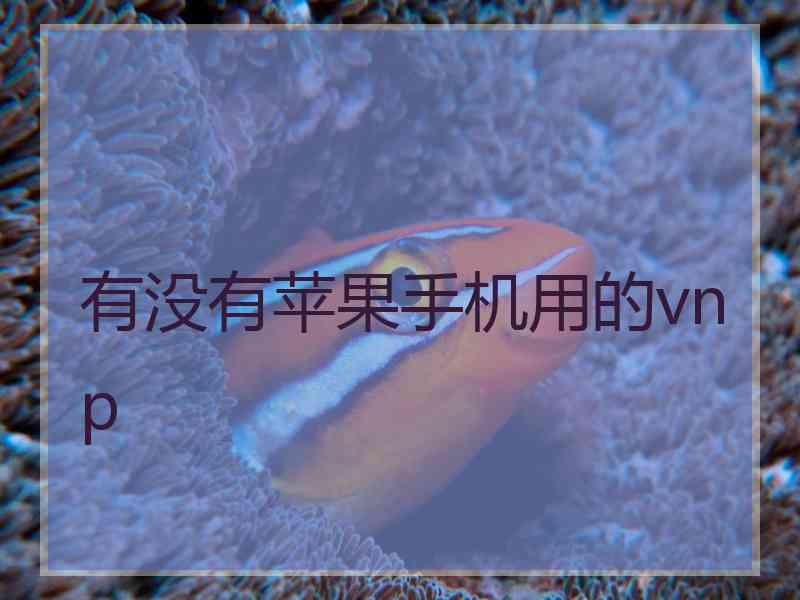 有没有苹果手机用的vnp
