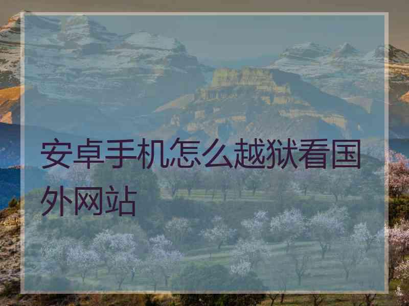 安卓手机怎么越狱看国外网站